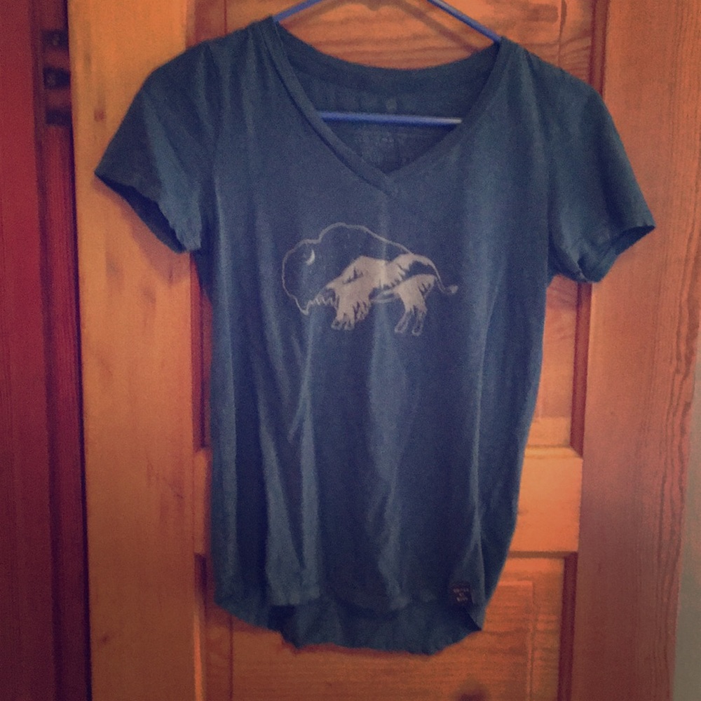 Bison/mountains t-shirt